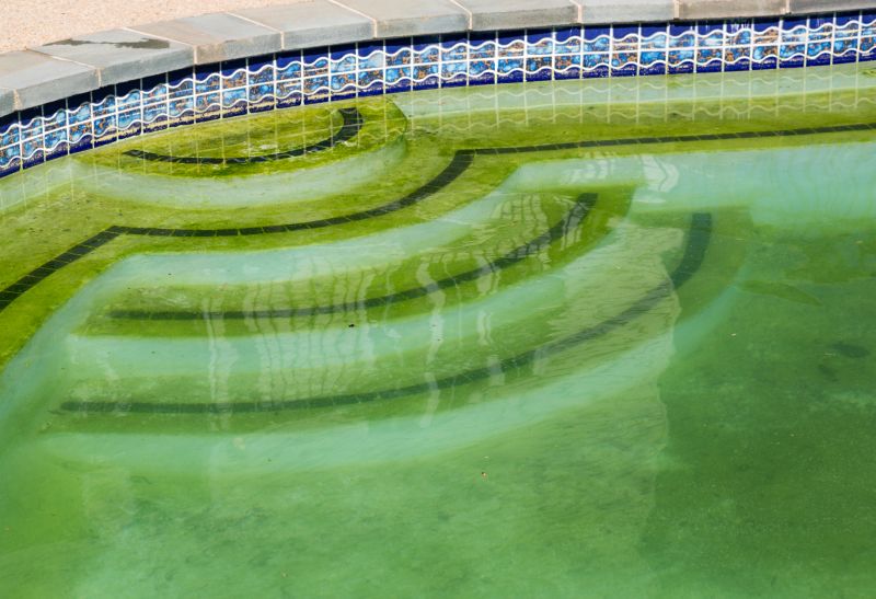 Algae Control in Summer